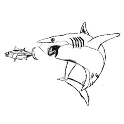 ぬりえページ: 鮫 (動物) #14921 - 無料の印刷可能なぬりえページ
