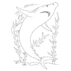 ぬりえページ: 鮫 (動物) #14927 - 無料の印刷可能なぬりえページ