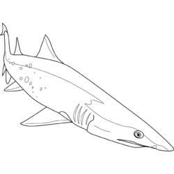 ぬりえページ: 鮫 (動物) #14949 - 無料の印刷可能なぬりえページ