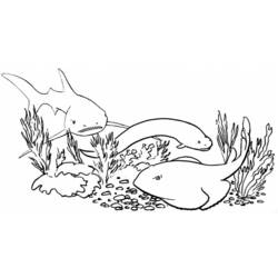 ぬりえページ: 鮫 (動物) #14960 - 無料の印刷可能なぬりえページ