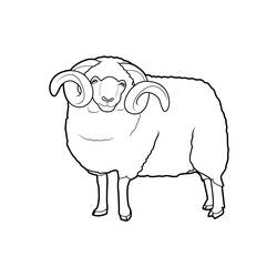 ぬりえページ: 羊 (動物) #11401 - 無料の印刷可能なぬりえページ