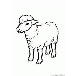 ぬりえページ: 羊 (動物) #11409 - 無料の印刷可能なぬりえページ