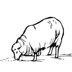 ぬりえページ: 羊 (動物) #11410 - 無料の印刷可能なぬりえページ