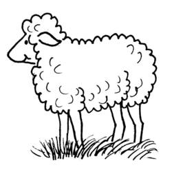ぬりえページ: 羊 (動物) #11412 - 無料の印刷可能なぬりえページ
