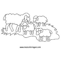 ぬりえページ: 羊 (動物) #11414 - 無料の印刷可能なぬりえページ