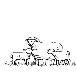 ぬりえページ: 羊 (動物) #11415 - 無料の印刷可能なぬりえページ