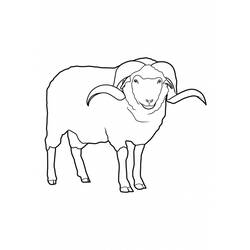 ぬりえページ: 羊 (動物) #11421 - 無料の印刷可能なぬりえページ