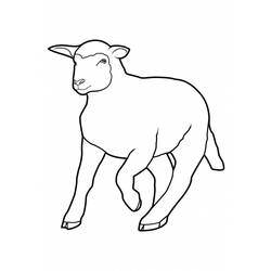 ぬりえページ: 羊 (動物) #11428 - 無料の印刷可能なぬりえページ