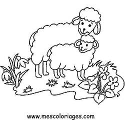 ぬりえページ: 羊 (動物) #11436 - 無料の印刷可能なぬりえページ