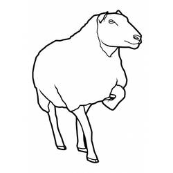 ぬりえページ: 羊 (動物) #11460 - 無料の印刷可能なぬりえページ