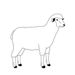 ぬりえページ: 羊 (動物) #11471 - 無料の印刷可能なぬりえページ