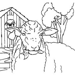 ぬりえページ: 羊 (動物) #11479 - 無料の印刷可能なぬりえページ