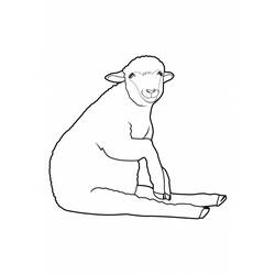 ぬりえページ: 羊 (動物) #11492 - 無料の印刷可能なぬりえページ