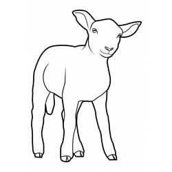 ぬりえページ: 羊 (動物) #11502 - 無料の印刷可能なぬりえページ