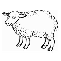 ぬりえページ: 羊 (動物) #11503 - 無料の印刷可能なぬりえページ