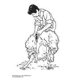 ぬりえページ: 羊 (動物) #11511 - 無料の印刷可能なぬりえページ