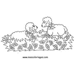 ぬりえページ: 羊 (動物) #11516 - 無料の印刷可能なぬりえページ