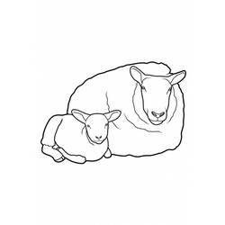 ぬりえページ: 羊 (動物) #11521 - 無料の印刷可能なぬりえページ