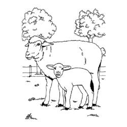 ぬりえページ: 羊 (動物) #11544 - 無料の印刷可能なぬりえページ