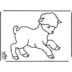 ぬりえページ: 羊 (動物) #11559 - 無料の印刷可能なぬりえページ