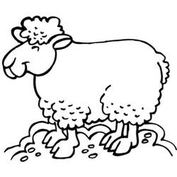 ぬりえページ: 羊 (動物) #11571 - 無料の印刷可能なぬりえページ