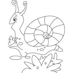 ぬりえページ: カタツムリ (動物) #6590 - 無料の印刷可能なぬりえページ