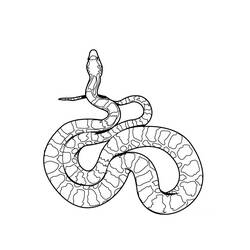 ぬりえページ: 蛇 (動物) #14337 - 無料の印刷可能なぬりえページ