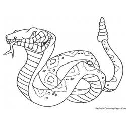 ぬりえページ: 蛇 (動物) #14342 - 無料の印刷可能なぬりえページ