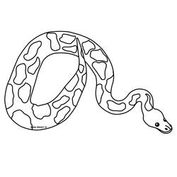 ぬりえページ: 蛇 (動物) #14352 - 無料の印刷可能なぬりえページ