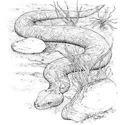 ぬりえページ: 蛇 (動物) #14355 - 無料の印刷可能なぬりえページ
