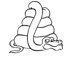 ぬりえページ: 蛇 (動物) #14402 - 無料の印刷可能なぬりえページ