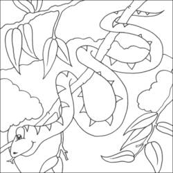 ぬりえページ: 蛇 (動物) #14405 - 無料の印刷可能なぬりえページ