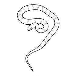 ぬりえページ: 蛇 (動物) #14410 - 無料の印刷可能なぬりえページ