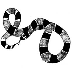 ぬりえページ: 蛇 (動物) #14426 - 無料の印刷可能なぬりえページ