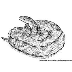 ぬりえページ: 蛇 (動物) #14428 - 無料の印刷可能なぬりえページ