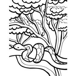 ぬりえページ: 蛇 (動物) #14453 - 無料の印刷可能なぬりえページ