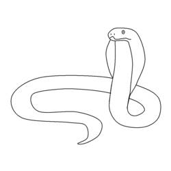 ぬりえページ: 蛇 (動物) #14475 - 無料の印刷可能なぬりえページ