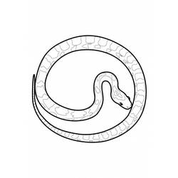 ぬりえページ: 蛇 (動物) #14482 - 無料の印刷可能なぬりえページ