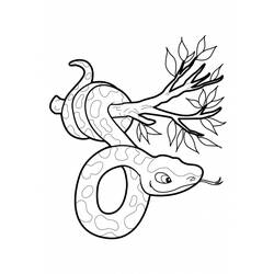 ぬりえページ: 蛇 (動物) #14486 - 無料の印刷可能なぬりえページ