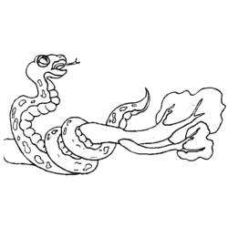 ぬりえページ: 蛇 (動物) #14502 - 無料の印刷可能なぬりえページ