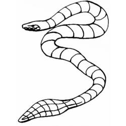 ぬりえページ: 蛇 (動物) #14512 - 無料の印刷可能なぬりえページ