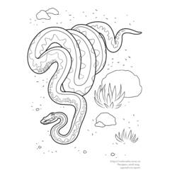 ぬりえページ: 蛇 (動物) #14529 - 無料の印刷可能なぬりえページ