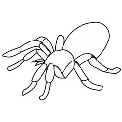 ぬりえページ: クモ (動物) #184504 - 無料の印刷可能なぬりえページ