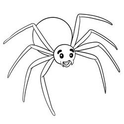 ぬりえページ: クモ (動物) #184505 - 無料の印刷可能なぬりえページ