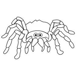 ぬりえページ: クモ (動物) #184518 - 無料の印刷可能なぬりえページ