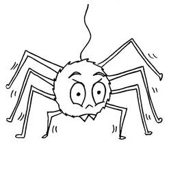 ぬりえページ: クモ (動物) #585 - 無料の印刷可能なぬりえページ