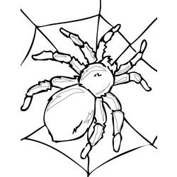 ぬりえページ: クモ (動物) #595 - 無料の印刷可能なぬりえページ
