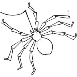 ぬりえページ: クモ (動物) #597 - 無料の印刷可能なぬりえページ