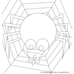 ぬりえページ: クモ (動物) #600 - 無料の印刷可能なぬりえページ