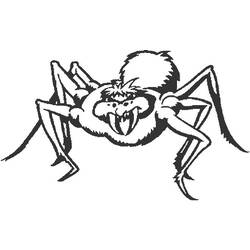 ぬりえページ: クモ (動物) #635 - 無料の印刷可能なぬりえページ